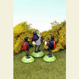 Beetle Orchestra 3pcs. - 6,0cm / 2 inch